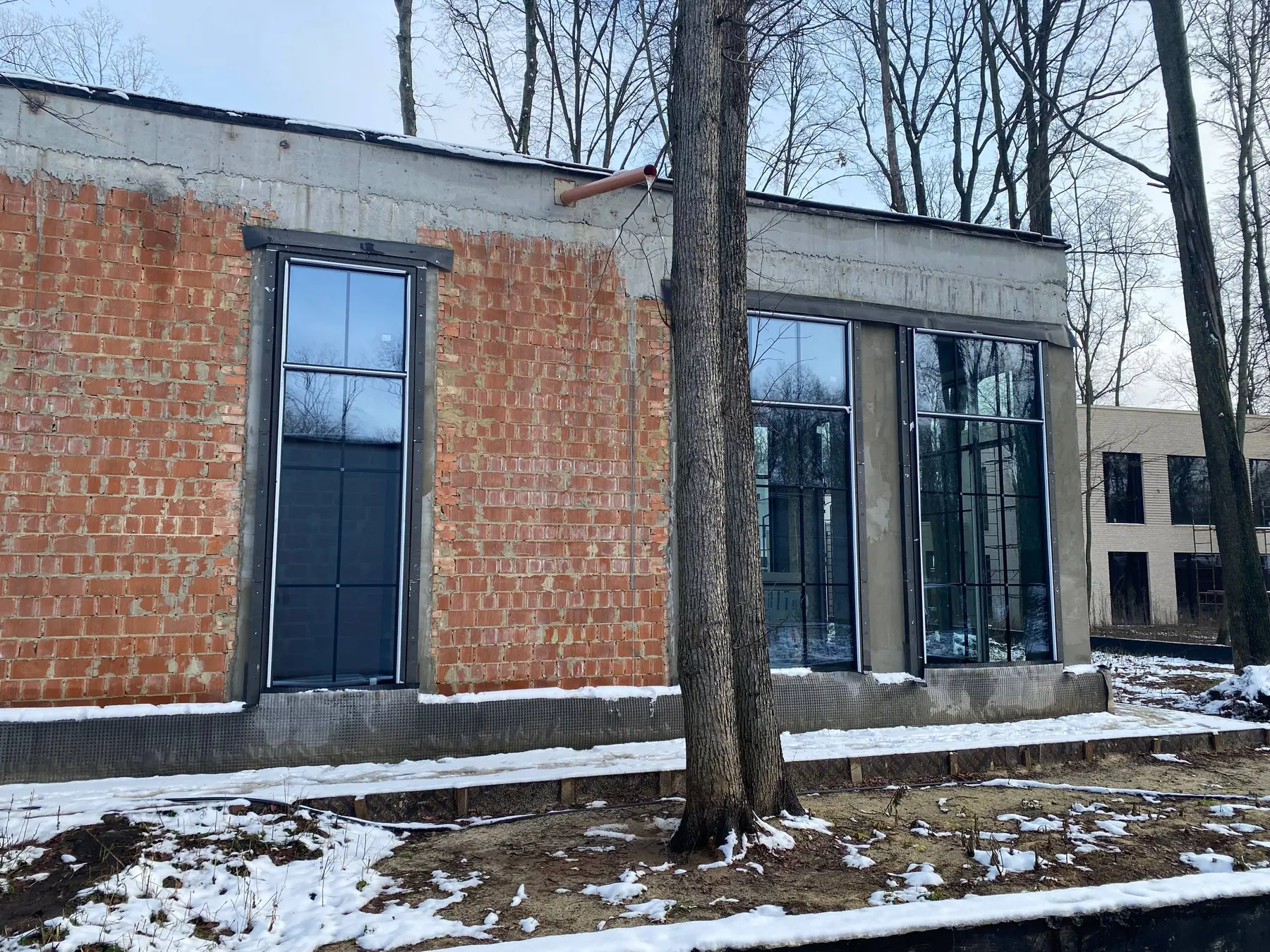 Kharkiv house — window assemblies on the woodland elevation